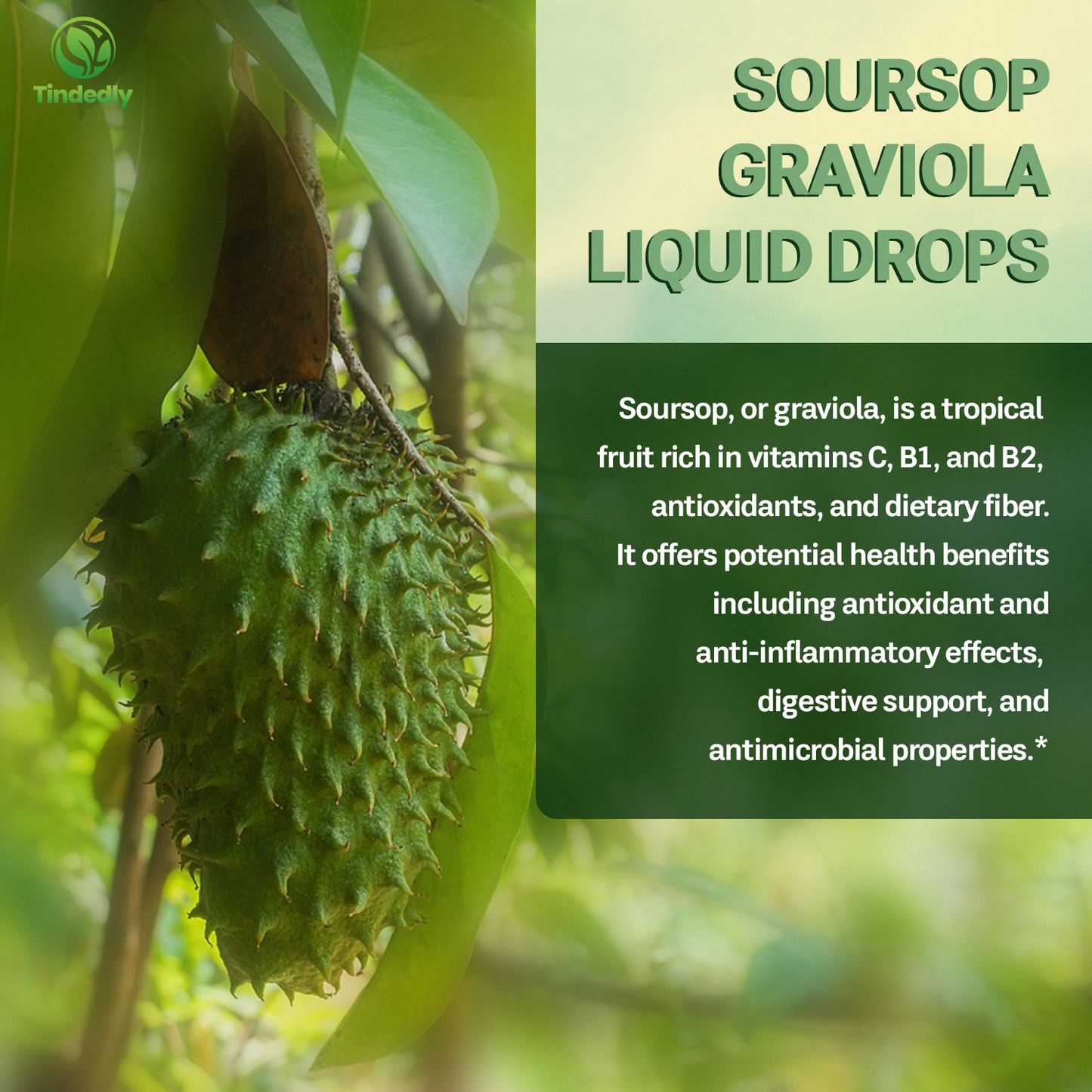 NatureGravi | Soursop Extract for Health and Wellness