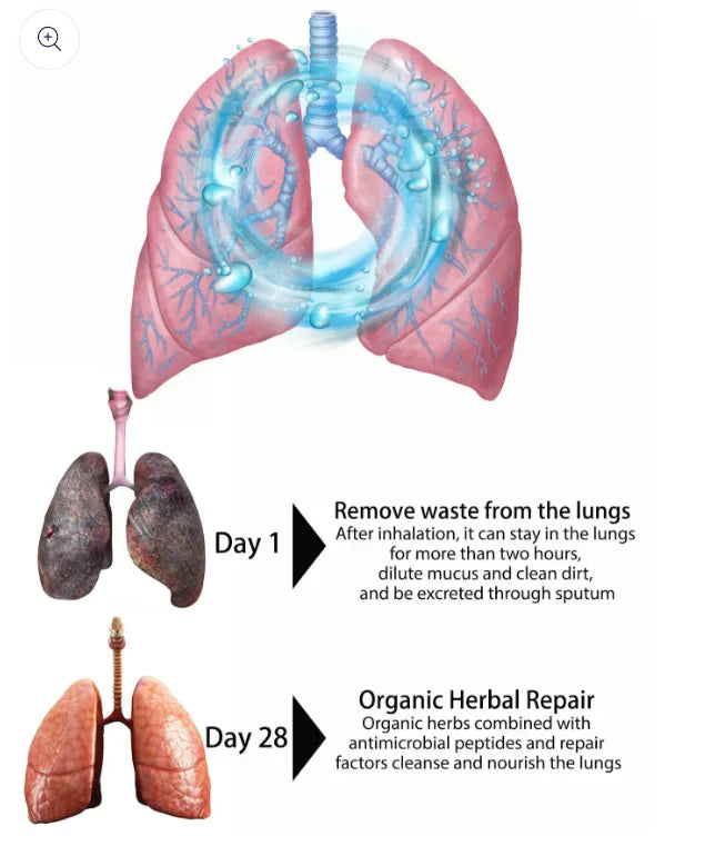 HerbaAir | Organic Herbal Nasal Spray to Relieve Nasal and Pulmonary Congestion