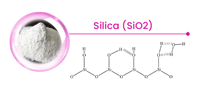 DentaSeal™ | Long-Lasting Denture Adhesive