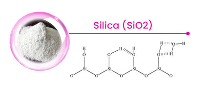 DentaSeal™ | Long-Lasting Denture Adhesive