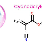 DentaSeal™ | Long-Lasting Denture Adhesive