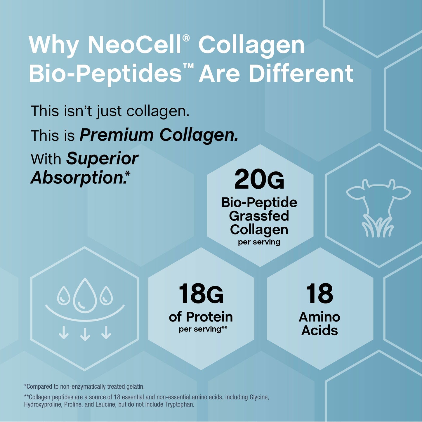 Collagen Bio-Peptides Protein Powder