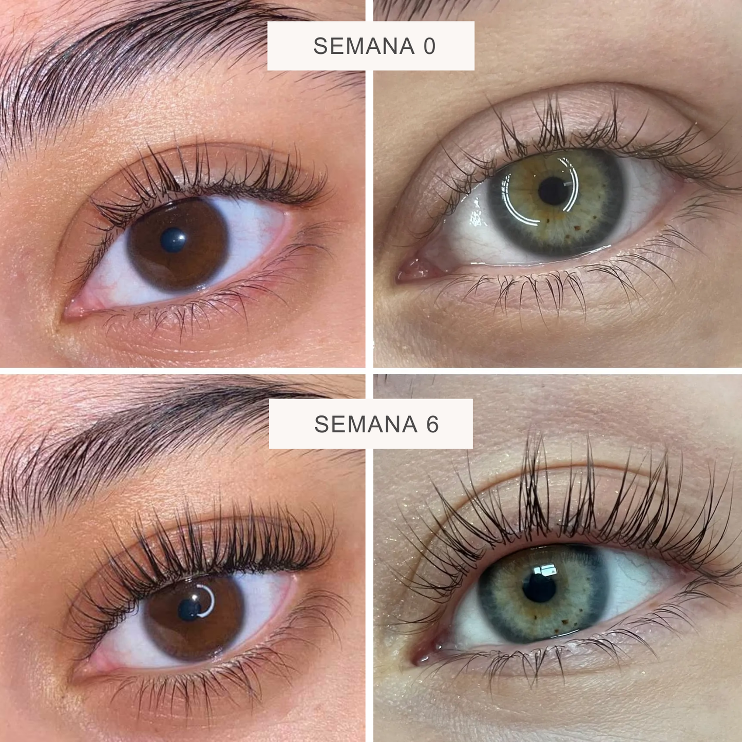 DualLash™ | 2-in-1 Eyelash Growth Serum