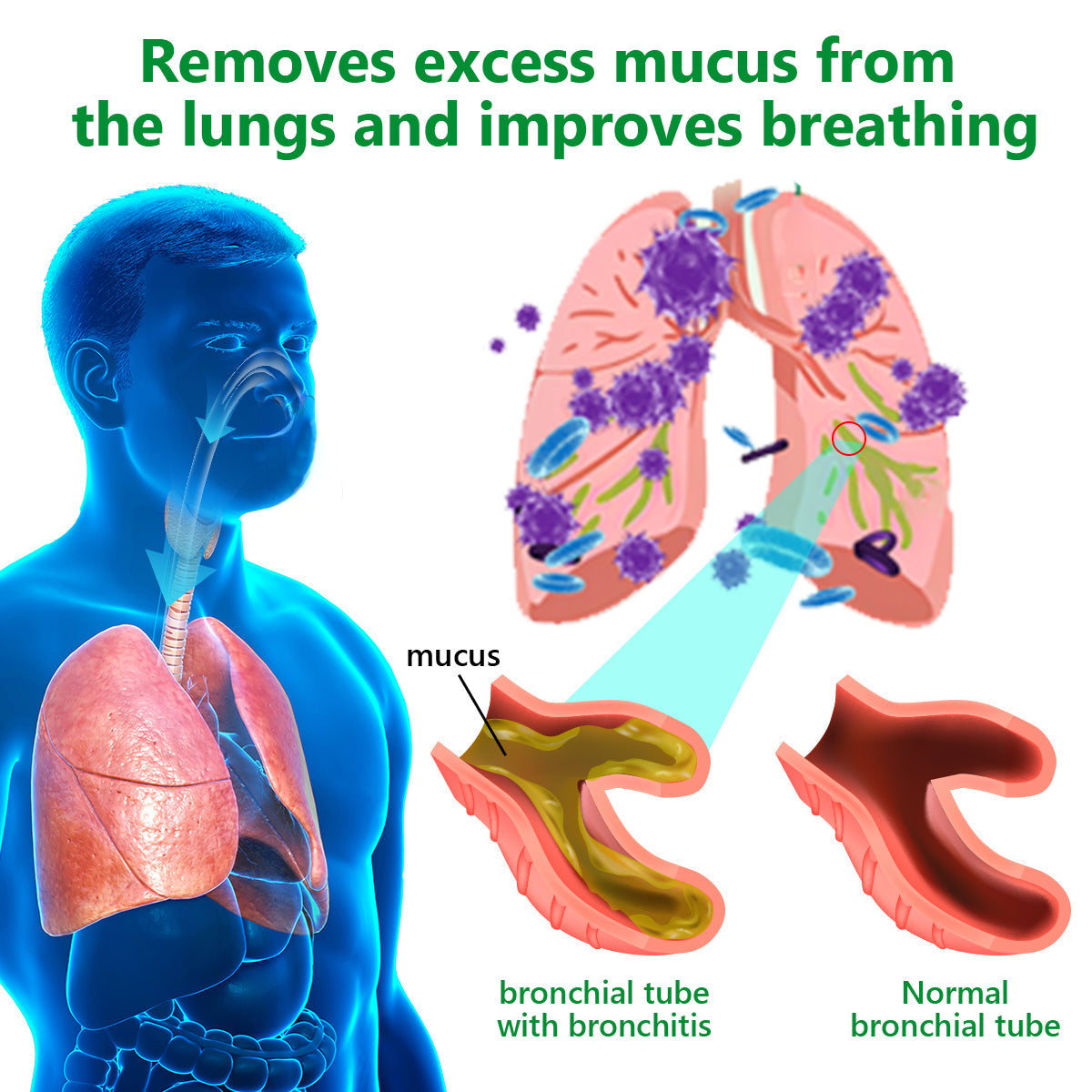 Lercea™ | Mullein Clear Lung Repair Cream