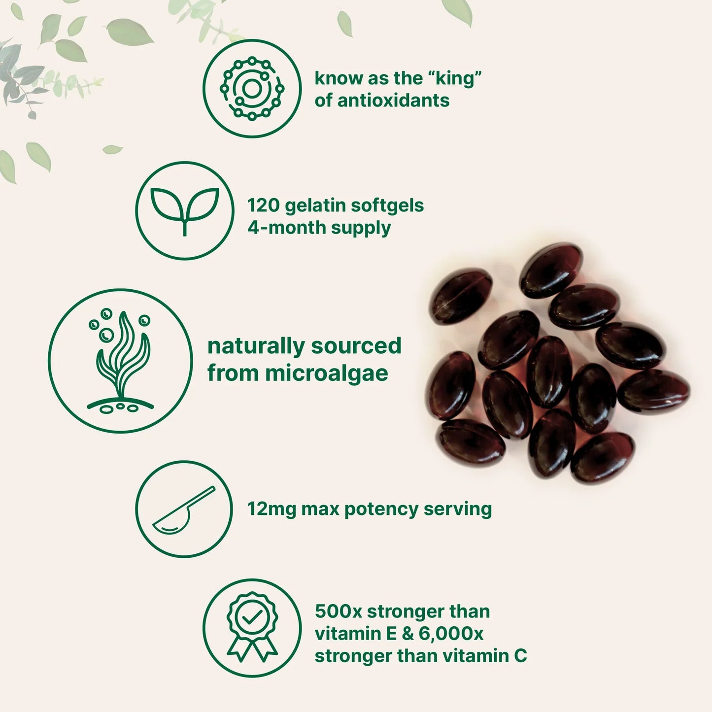 Astaxanthin 12 mg Capsules | Antioxidant Support