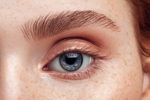 MicroBrow Pen | Eyebrow Pencil with Microblading